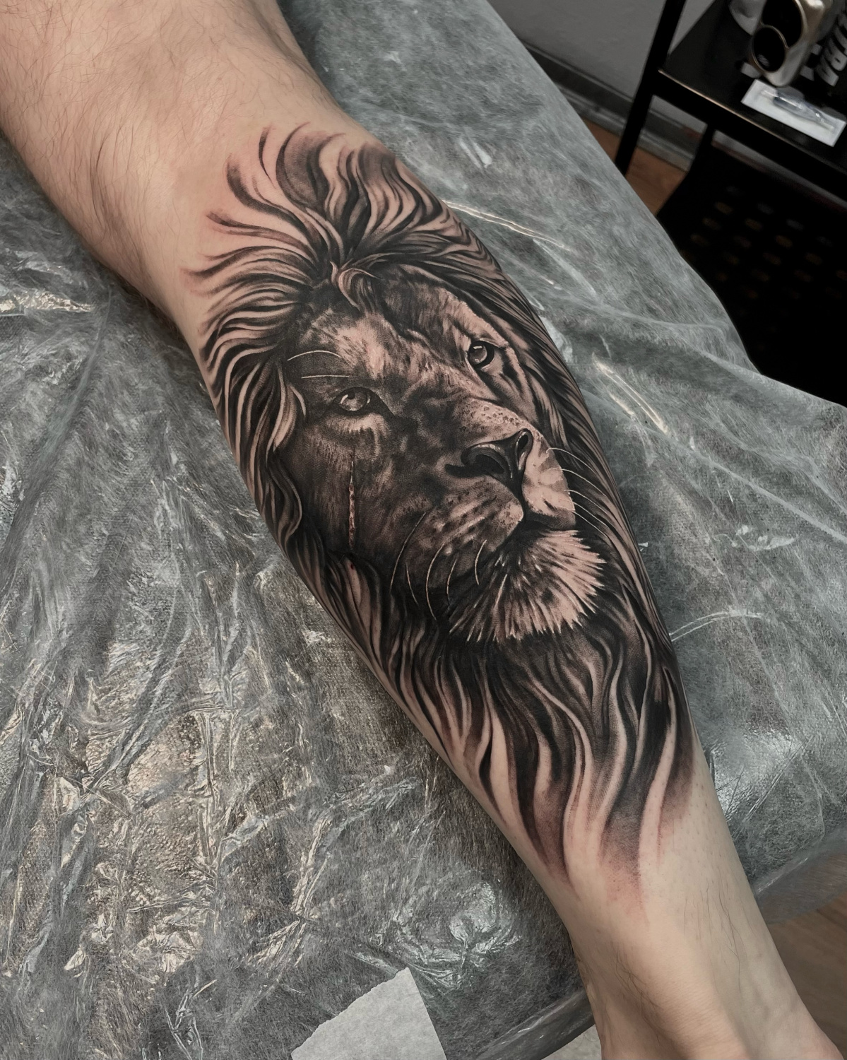 Realism Lion tattoo on Calf